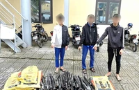 Hơn 200 m cáp điện ngầm bị nhóm thanh thiếu niên cắt trộm