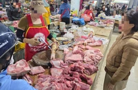 3 phường ở trung tâm Quảng Trị chỉ có 30% thịt lợn có dấu kiểm soát