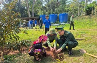 Bộ đội Biên phòng Quảng Trị trồng 25 nghìn cây xanh hưởng ứng Tết trồng cây
