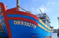Một tàu cá Quảng Trị cùng thuyền viên mất liên lạc gần bán đảo Sơn Trà