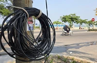 Vụ dây điện cứa cổ nữ sinh ở Quảng Trị: Dây điện do người dân tự kéo sang đường