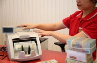 Vì sao tỉ giá không đáng lo?