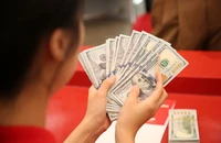 Tỉ giá sẽ ra sao vào cuối năm?