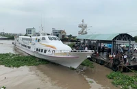 Khách đi Phú Quốc tuột dốc, đại gia tàu cao tốc giảm lãi