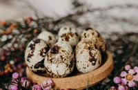 Ăn trứng cút mỗi ngày, chuyện gì xảy ra?