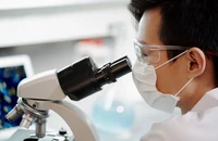Cơ hội vàng cho Việt Nam khi nhiều tập đoàn đa quốc gia xây dựng trung tâm nghiên cứu và phát triển
