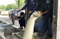 Đại gia vàng trắng muốn kiếm 1 tỉ USD