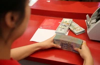 Lãi suất tiền gửi thấp, sao lãi cho vay vẫn 'cao bền vững'?