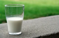 Vì sao uống sữa đôi lúc gây trào ngược axit?