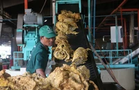Trung Quốc nới lỏng chính sách tiền tệ, công ty Việt bị tác động ra sao?