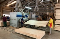 Doanh nghiệp Việt đã lạc quan hơn nhưng vẫn còn nhiều vất vả