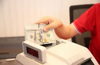 Tỉ giá nhảy múa: Kẻ hưởng lợi, người lo sốt vó