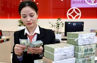 Đồng đô la Mỹ có gây sức ép lên tiền đồng?