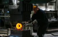 Vì sao cổ phiếu Hòa Phát và Hoa Sen cùng mất tiền tỉ?