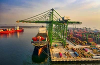 Vẫn có con đường giải toả áp lực mức thuế lên tới 46% của Mỹ