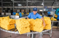 Doanh nghiệp Việt vừa chạy đua đơn hàng, vừa tính kế lâu dài