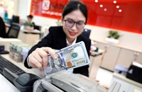Ngân hàng Nhà nước vừa làm điều quan trọng này, tỉ giá USD/VND hạ nhiệt