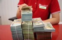 Tỉ giá USD/VND sẽ hạ nhiệt nhanh?