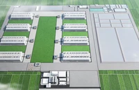 Việt Nam thúc đẩy mô hình nuôi heo trong nhà cao tầng