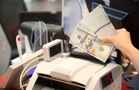Tỉ giá USD/VND sẽ ổn định hơn vào cuối năm?