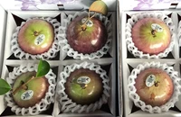 Năm nay nhà vườn, hợp tác xã đưa ra thị trường các loại hoa, trái chưng Tết mới, độc lạ như lúa tím, vú sữa ăn cả vỏ.