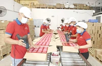 Việc xuất khẩu nông thủy sản Việt Nam đang gặp khó khăn vì cước vận chuyển tăng mạnh. Ảnh: QUANG HUY 