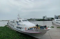 Quý IV-2023, đại gia tàu cao tốc lỗ nặng vì bão