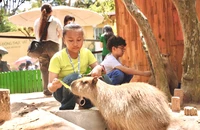 Thảo Cầm Viên Sài Gòn ra mắt vườn thú thân thiện