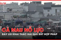Cà Mau nỗ lực đẩy lùi khai thác hải sản bất hợp pháp – IUU