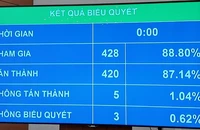 Quốc hội thông qua Nghị quyết chính quyền đô thị TP.HCM