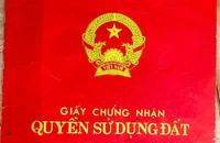 Nam thanh niên ‘nổ’ quen nhiều lãnh đạo, lừa tách thửa đất