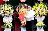 Bí thư Bắc Ninh Đào Hồng Lan làm quyền Bộ trưởng Bộ Y tế