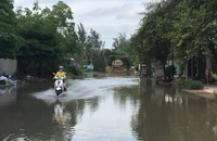 Cử tri Nhà Bè mong dự án chống ngập 10.000 tỉ sớm hoàn thành