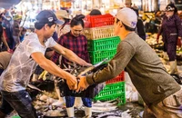 Công điện mới nhất của Thủ tướng về gỡ cảnh báo thẻ vàng cho hải sản