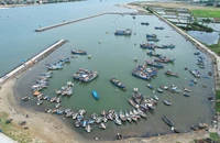 Hôm nay, Chương trình 'Cùng ngư dân thắp sáng đèn trên biển' đến với Quảng Trị