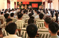 Chủ tịch nước ân giảm hình phạt tử hình xuống tù chung thân cho 5 bị án