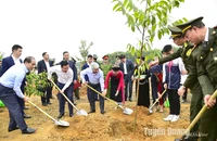 Chủ tịch nước: Trồng nhiều cây hơn nữa bằng tình yêu, lòng biết ơn và sự khiêm nhường