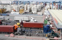 Hoạt động vận chuyển hàng hóa vào cảng Cát Lái, TP.HCM.