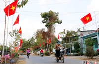 Bình Dương: Đường cờ Tổ Quốc rực rỡ tại Cù lao Rùa