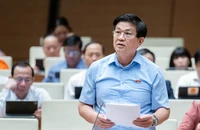 Đưa biển số xe vào danh mục tài sản đấu giá, được không?