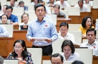TP.HCM thiếu bãi đỗ xe, đại biểu kiến nghị khai thác các gầm cầu đường bộ