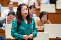 ĐB Vũ Thị Lưu Mai: 'Nếu muốn chúng ta sẽ tìm ra cách'