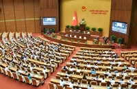 Tuần tới, Quốc hội chất vấn và trả lời chất vấn 4 vấn đề nóng