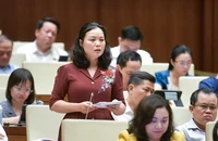 Đại biểu đề nghị cấm đốt pháo hoa dịp Tết vì 'không mang lại lợi ích gì' 