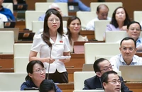 Kinh tế đêm, du lịch đêm là vấn đề mới và khó