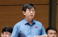 Thí điểm Khu thương mại tự do Đà Nẵng: Cần cơ chế giám sát đặc biệt