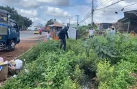 Bình Phước: Đến gây sự tại vựa sầu riêng rồi đâm chết người