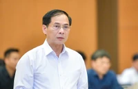Bộ trưởng Bộ Ngoại giao Bùi Thanh Sơn làm phó Thủ tướng Chính phủ
