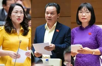 Giá nhà ở cao bất thường, vượt xa tầm tay người dân