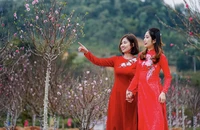Thủ tướng chốt lịch nghỉ Tết Nguyên đán Ất Tỵ 9 ngày liên tục